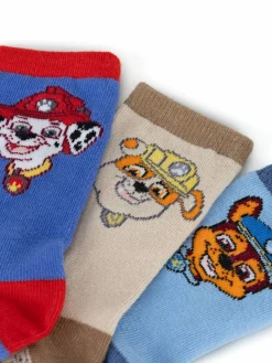 Calzini lunghi ACCCS-AW24-326PAW (3-pack) Multicolore