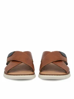 Ciabatte CEO-25283-22 Marrone