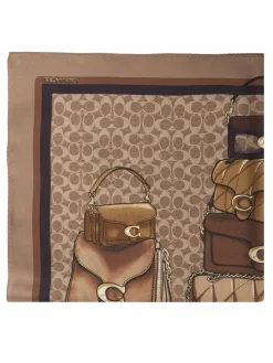Foulard 29CAS76 Marrone