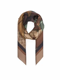 Foulard 29CAS76 Marrone