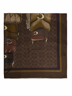 Foulard 29CAS76 Marrone