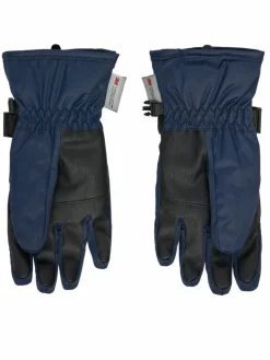 Guanti da sci 4FJWAW24AFGLM129 Blu