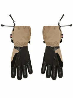 Guanti da sci Highline Gore-Tex EQYHN03203 Beige