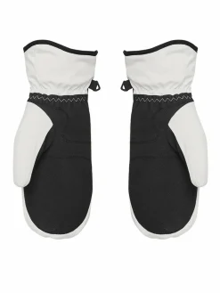 Guanti da sci Jetty Solid Mitt  ERJHN03268 Grigio