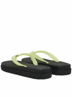 Infradito Tjw Cleated Jelly Summer Sandal EN0EN02954 Verde