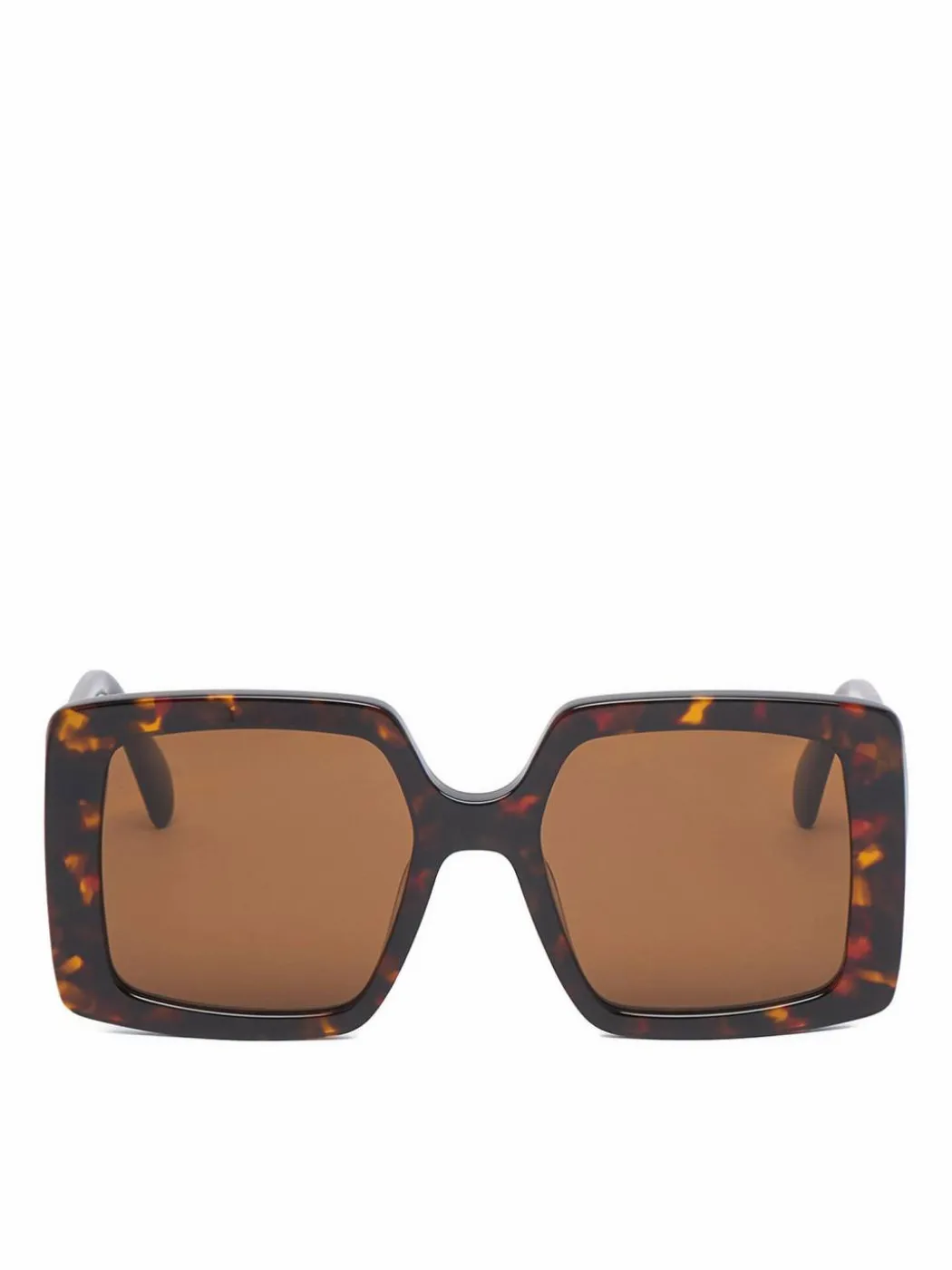 Occhiali da sole CEO-NW6629S Marrone scuro