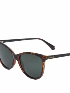 Occhiali da sole C PLD 4179/S Marrone