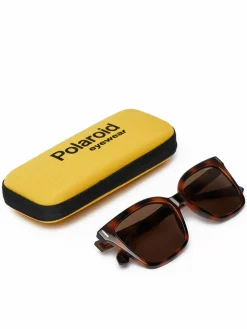 Occhiali da sole C PLD 6192/S Marrone