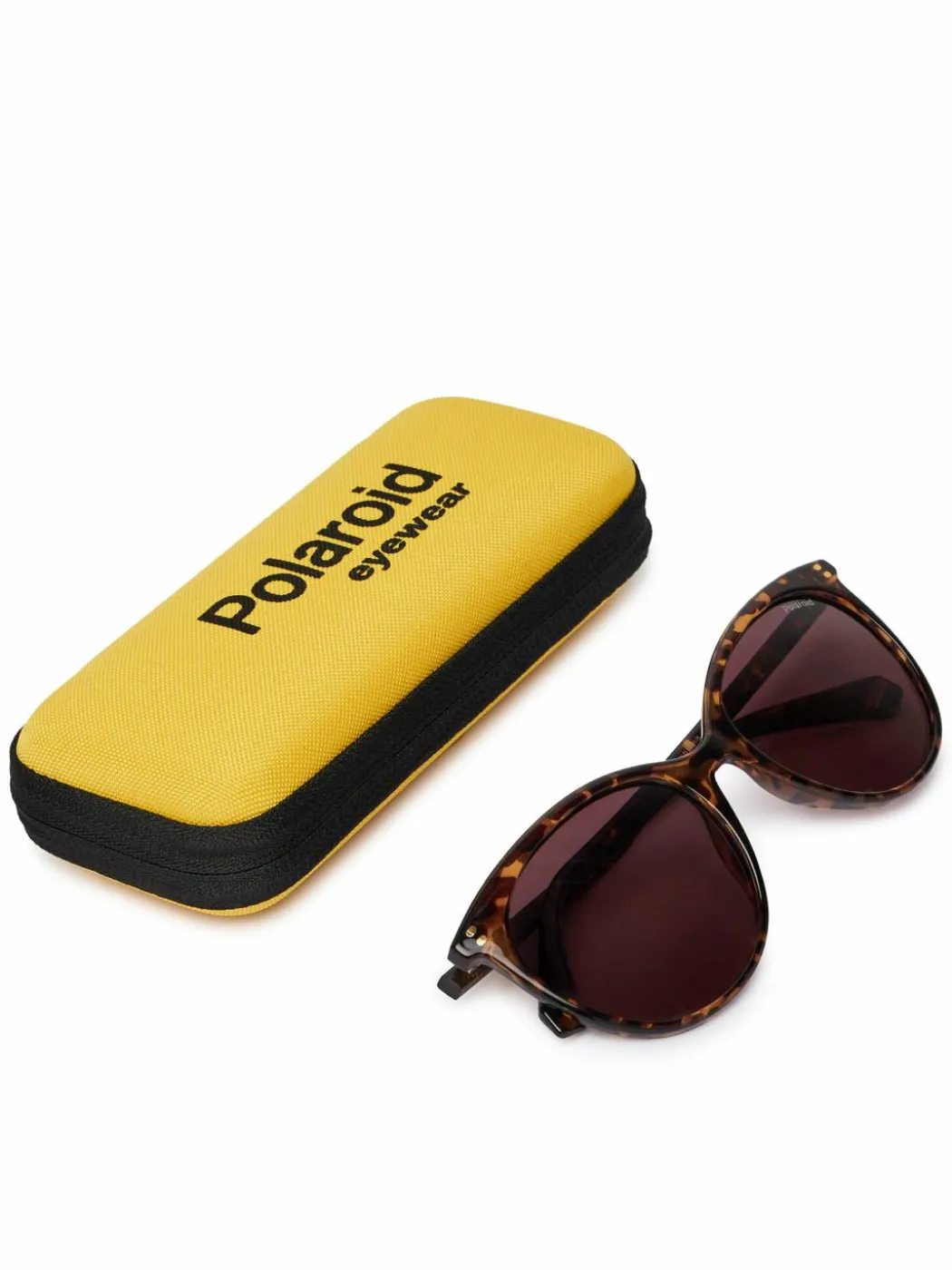 Occhiali da sole PLD 6231/S Marrone