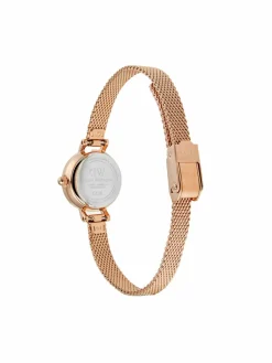 Orologio DW00100741 Rosa