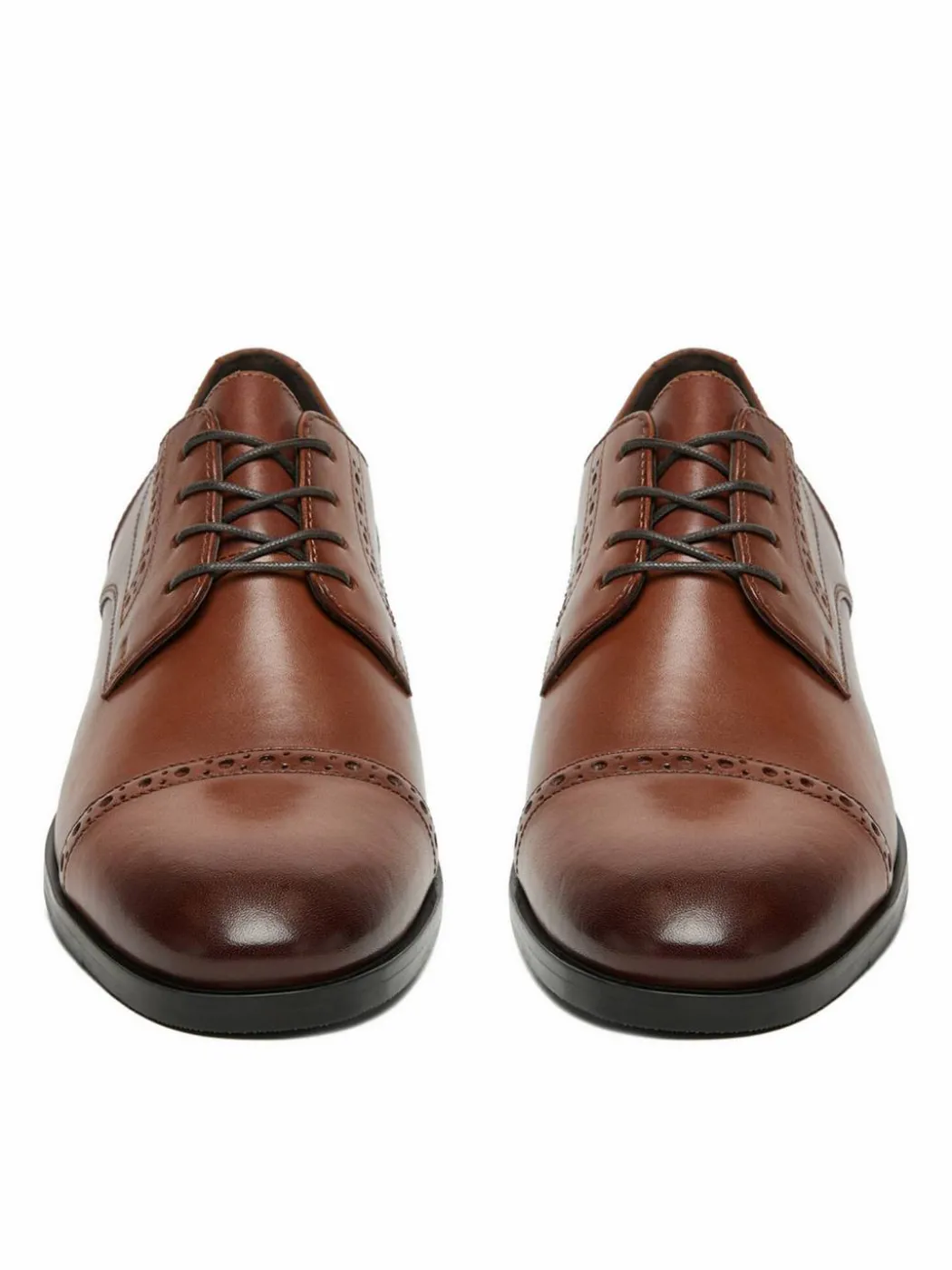 Scarpe basse CEO-PALMER-02 MI08 Marrone