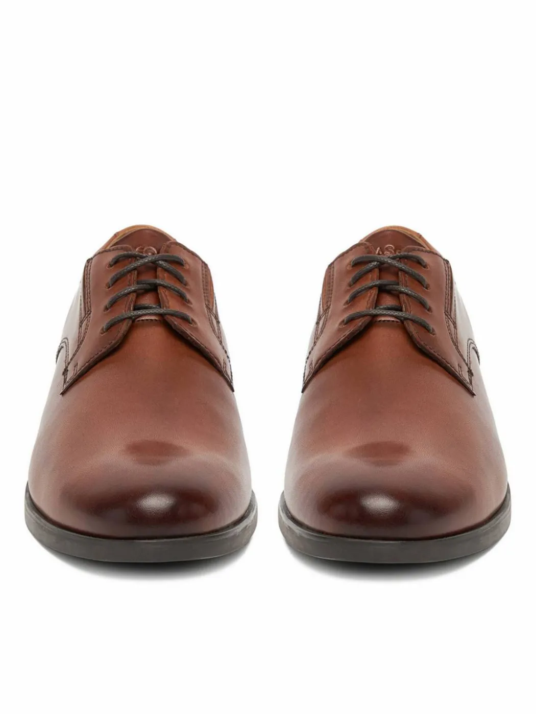 Scarpe basse CEO-SZWEJK-33 MB Marrone scuro