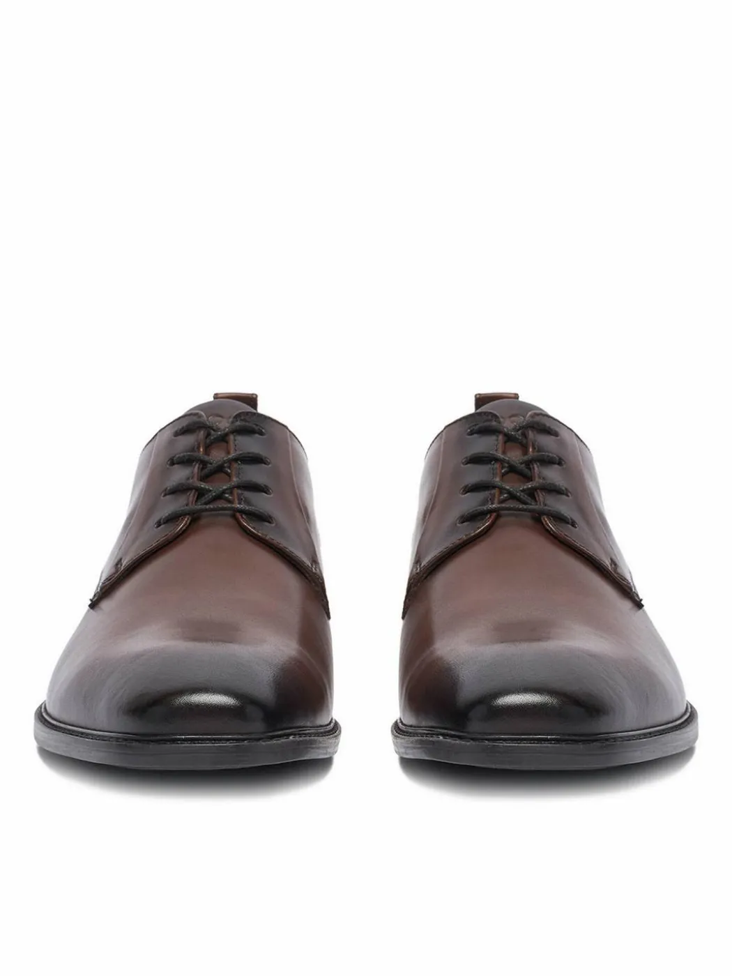 Scarpe basse CEO-ZAHARY-26 MI25 Marrone scuro