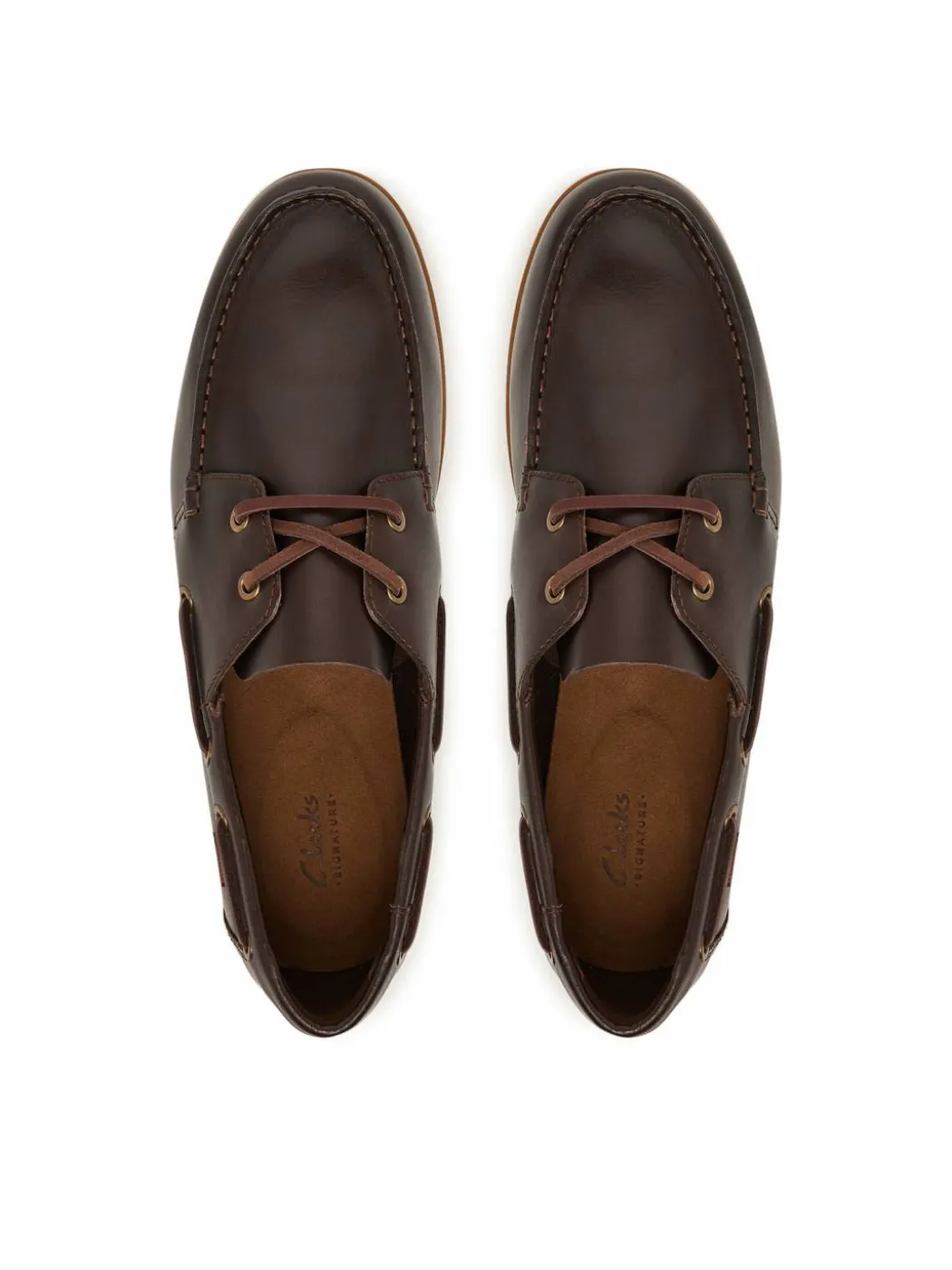 Scarpe basse Charmouth Lace 26186433 Marrone