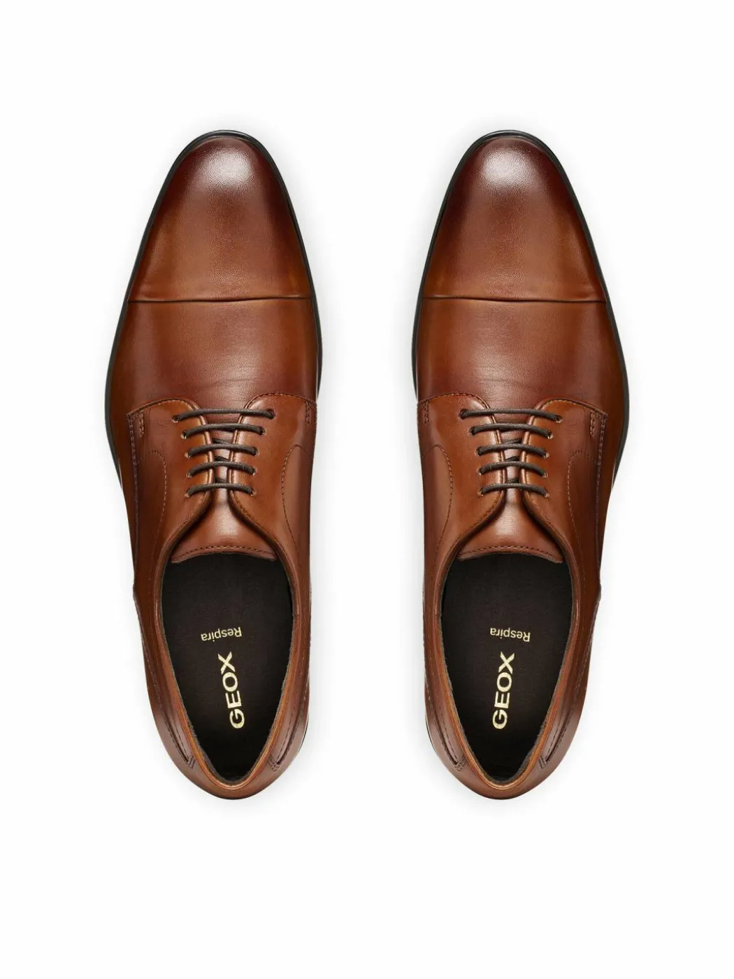 Scarpe basse U Thalos U66NYB 00043 C6001 Marrone