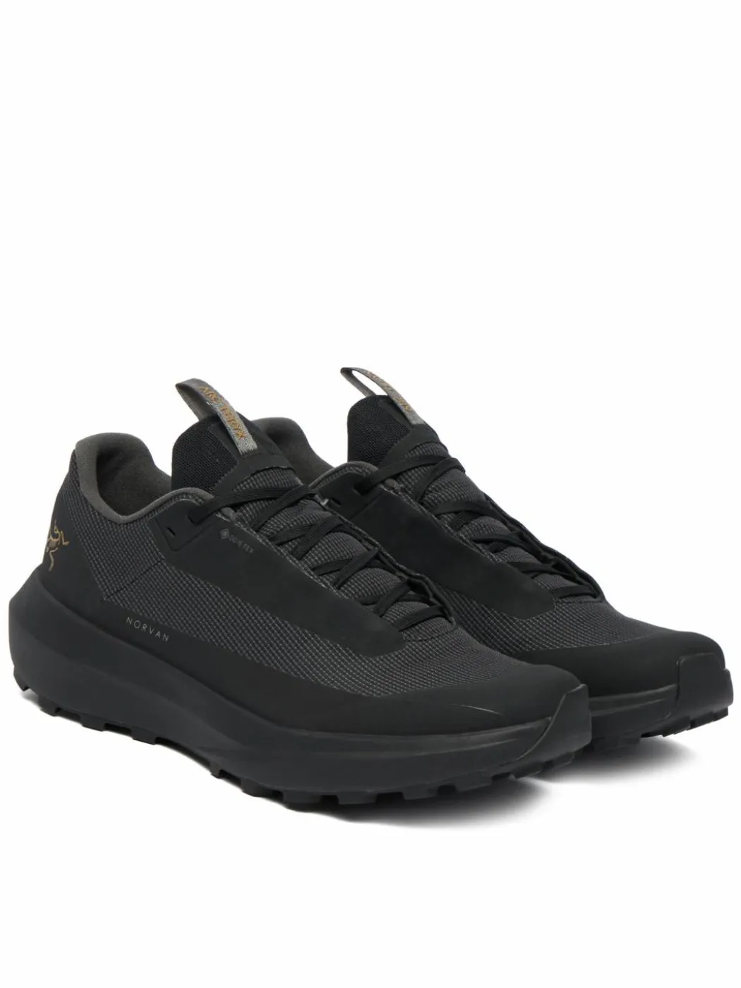 Scarpe da trekking Norvan Ld 4 Gtx X000010399 Nero