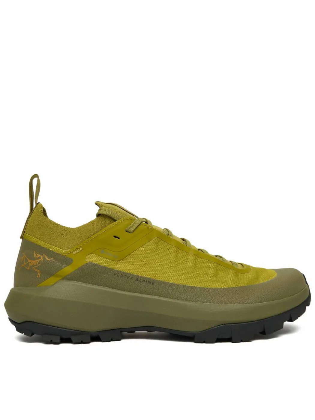 Scarpe da trekking Verte Alpine Gtx Gore-Tex X000009602 Verde