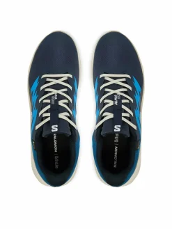 Scarpe running Alphaglide Gtx L47975100 Blu