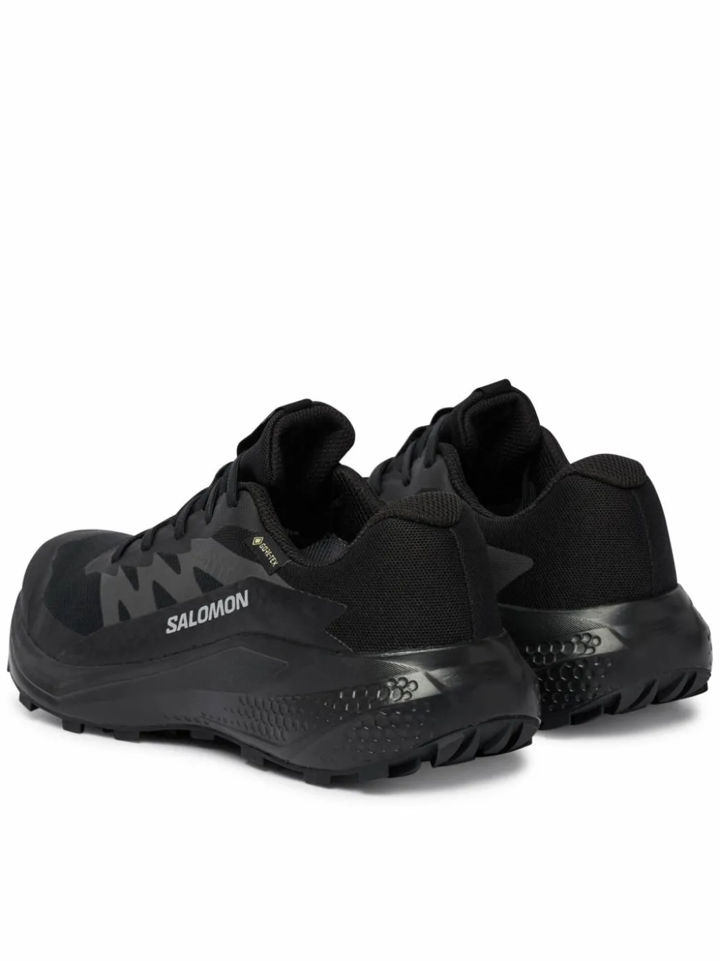 Scarpe running Alphaglide Gtx W L49214400 Blu scuro