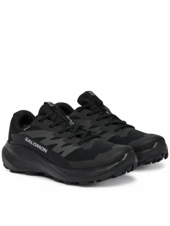 Scarpe running Alphaglide Gtx W L49214400 Blu scuro