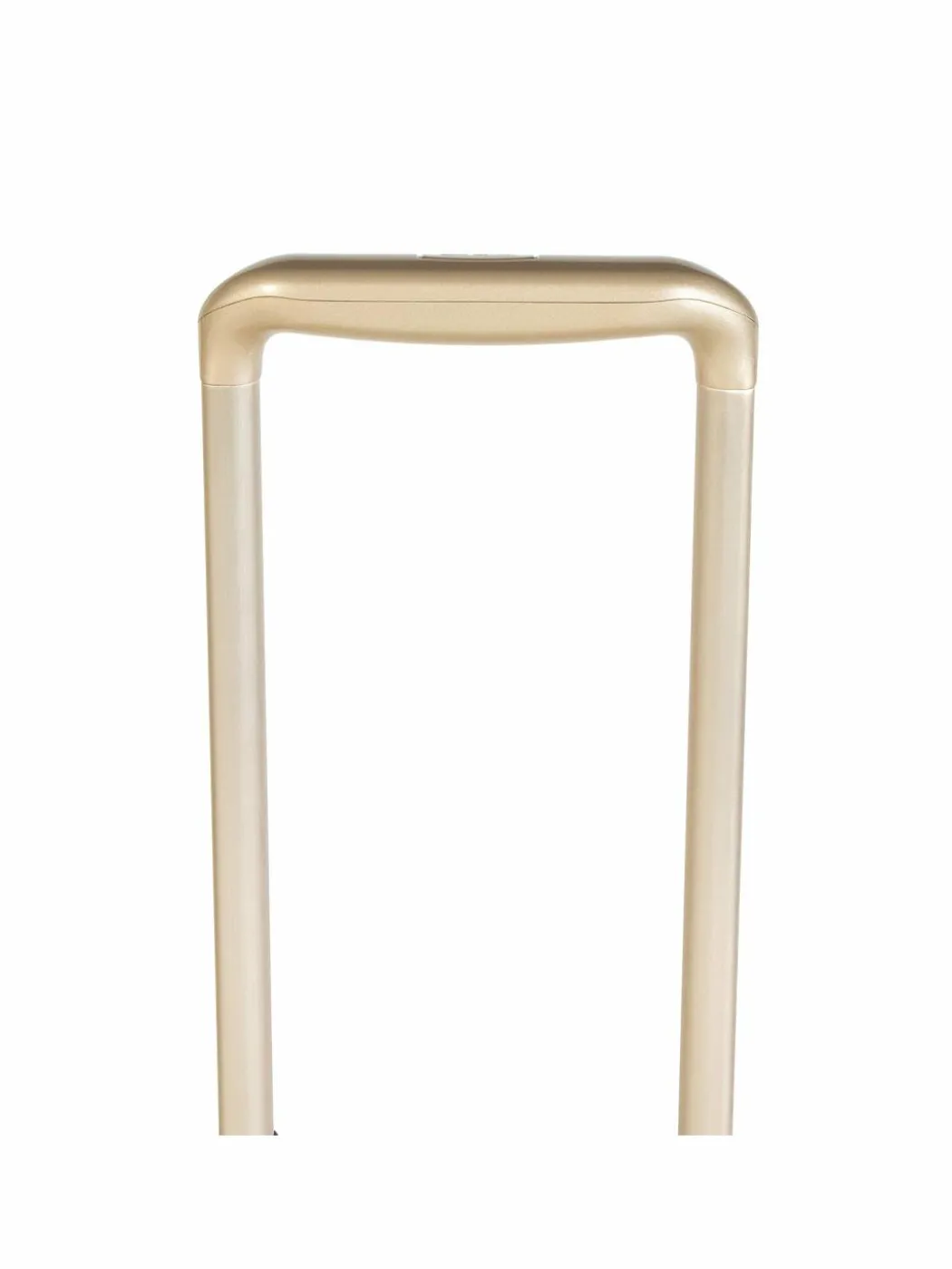 Valigia da cabina Travel 30S0GTFT3B Marrone